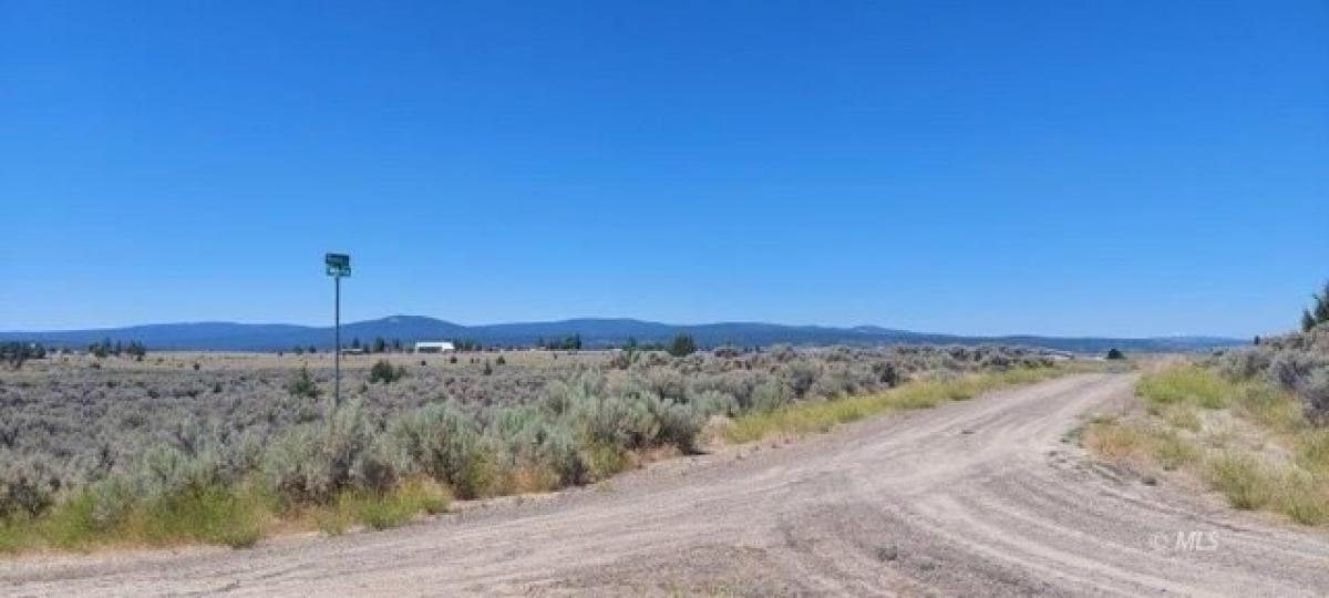 Picture of Residential Land For Sale in Alturas, California, United States