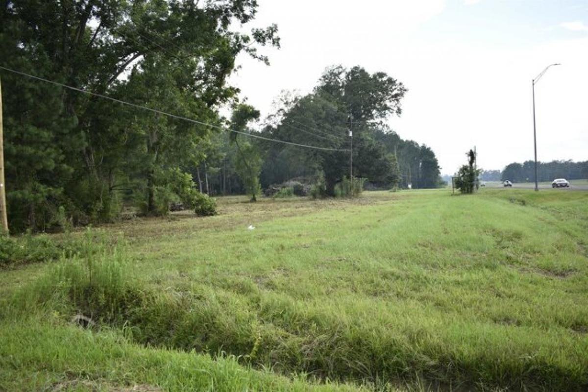 Picture of Residential Land For Sale in Kountze, Texas, United States