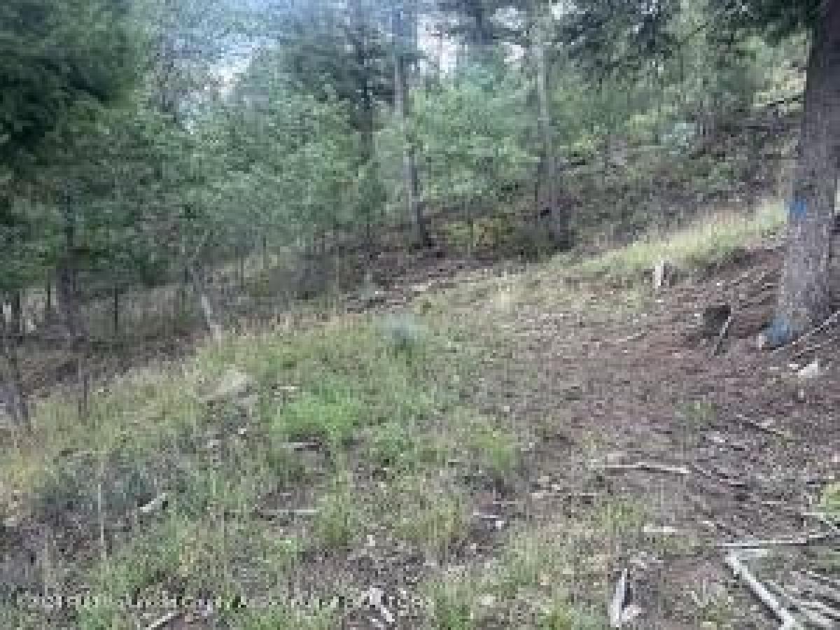 Picture of Residential Land For Sale in Ruidoso, New Mexico, United States