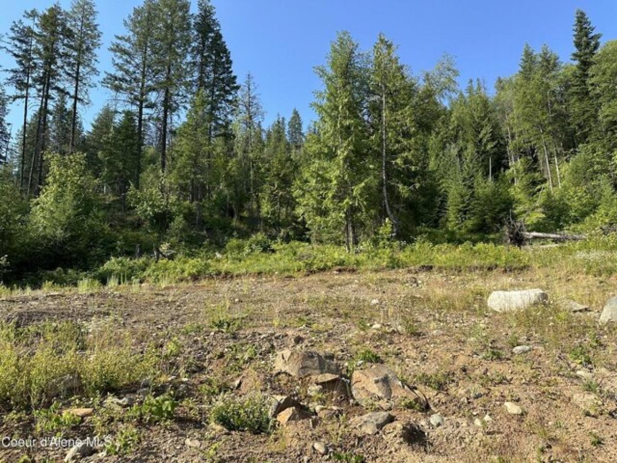 Picture of Residential Land For Sale in Cocolalla, Idaho, United States