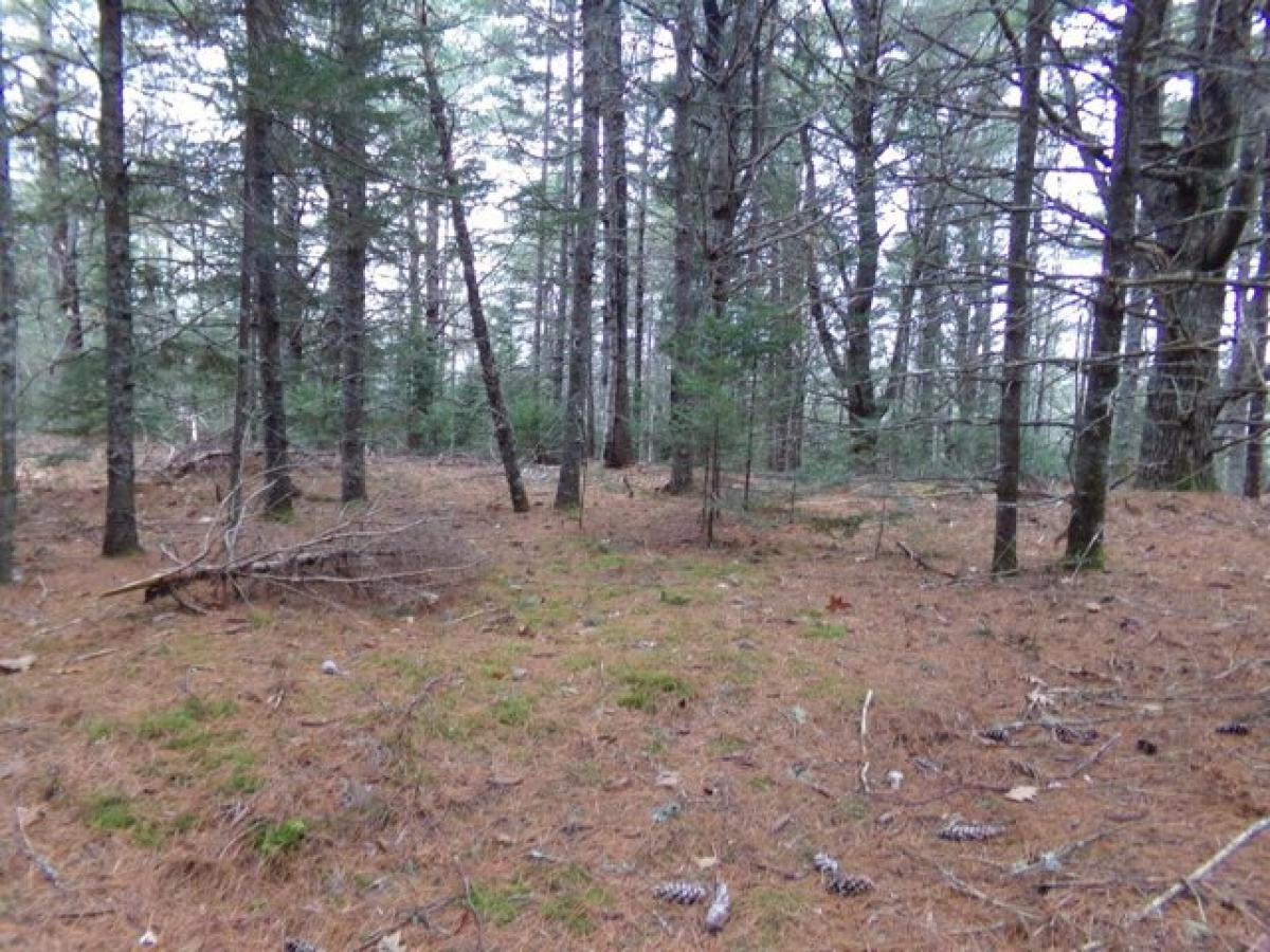 Picture of Residential Land For Sale in Steuben, Maine, United States