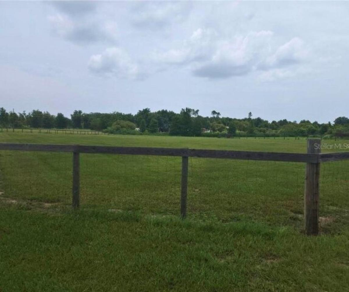 Picture of Residential Land For Sale in Groveland, Florida, United States