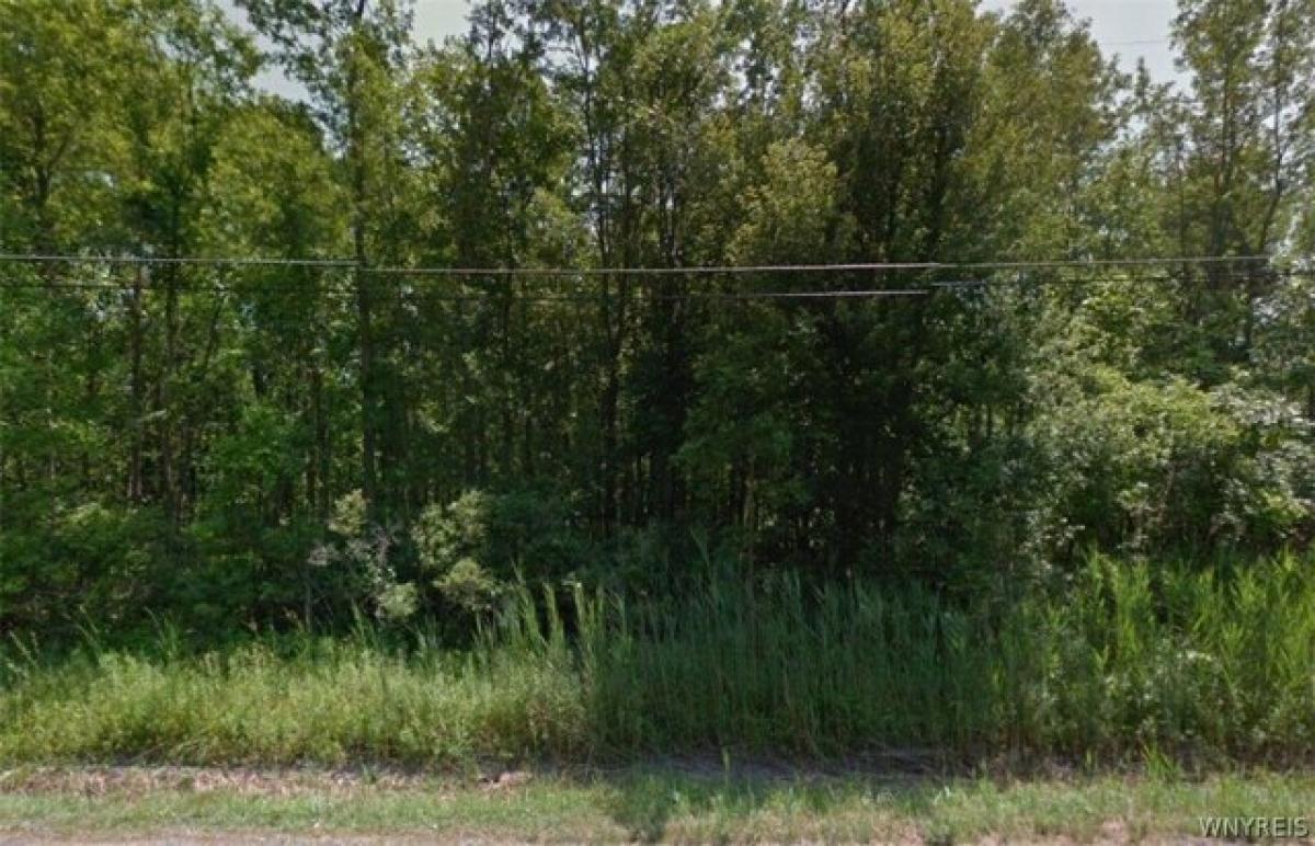 Picture of Residential Land For Sale in Amherst, New York, United States