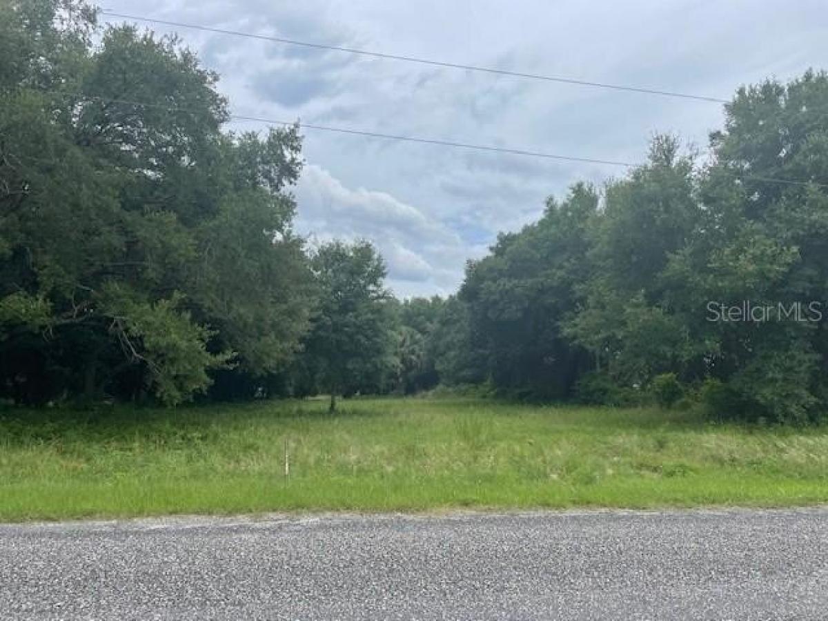 Picture of Residential Land For Sale in Weirsdale, Florida, United States