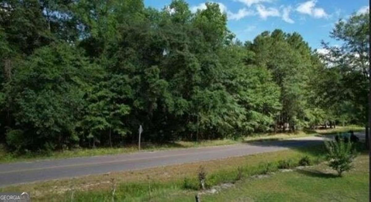 Picture of Residential Land For Sale in Sylvania, Georgia, United States