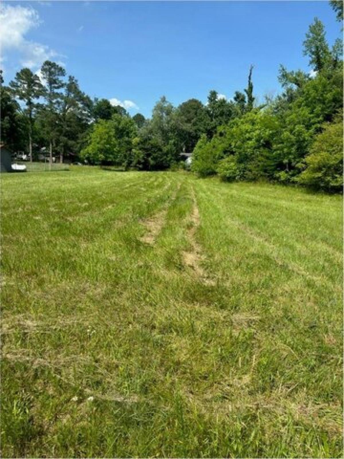 Picture of Residential Land For Sale in Victoria, Virginia, United States