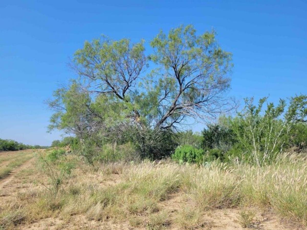 Picture of Residential Land For Sale in Laredo, Texas, United States