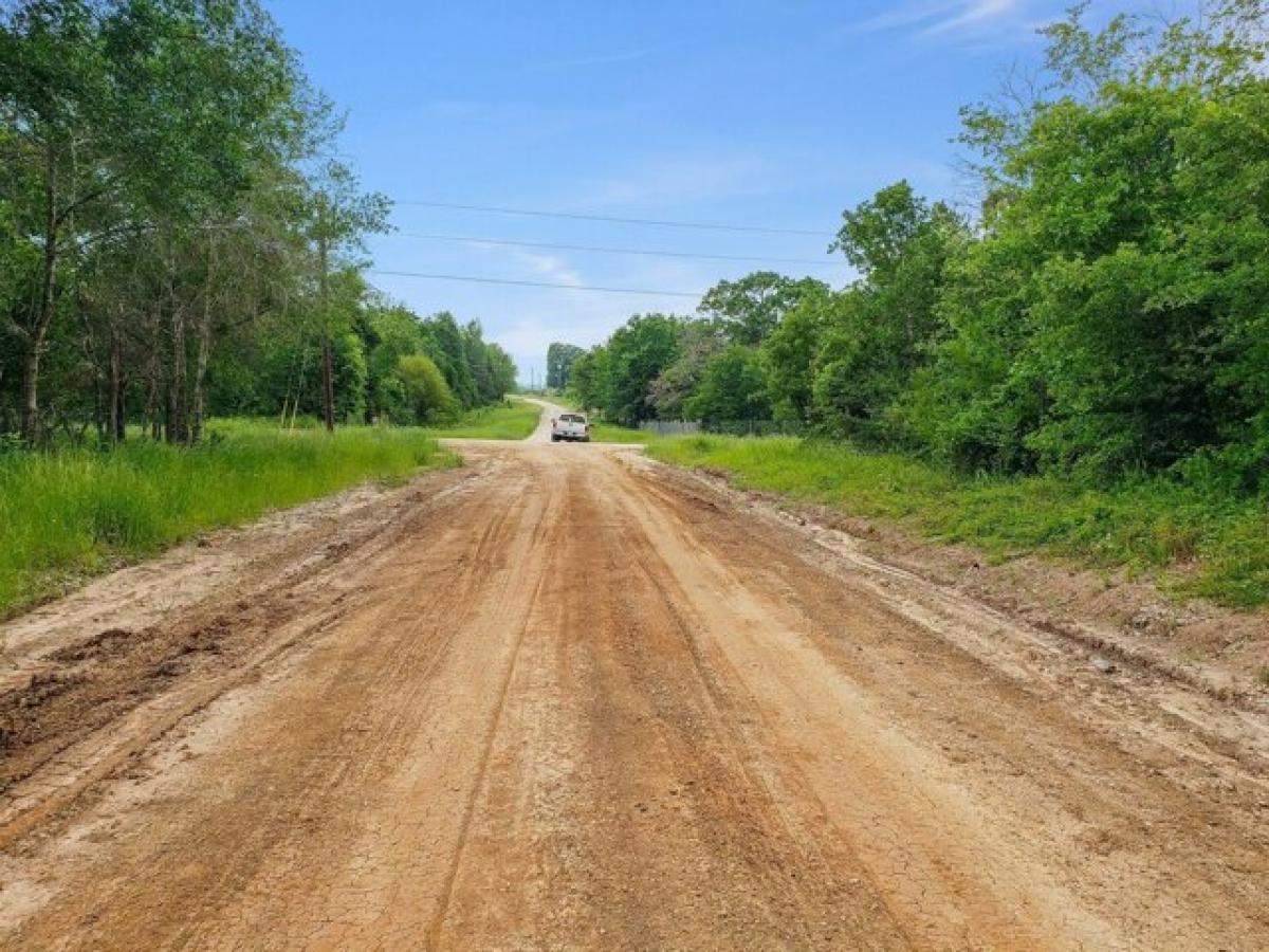 Picture of Residential Land For Sale in Bedias, Texas, United States