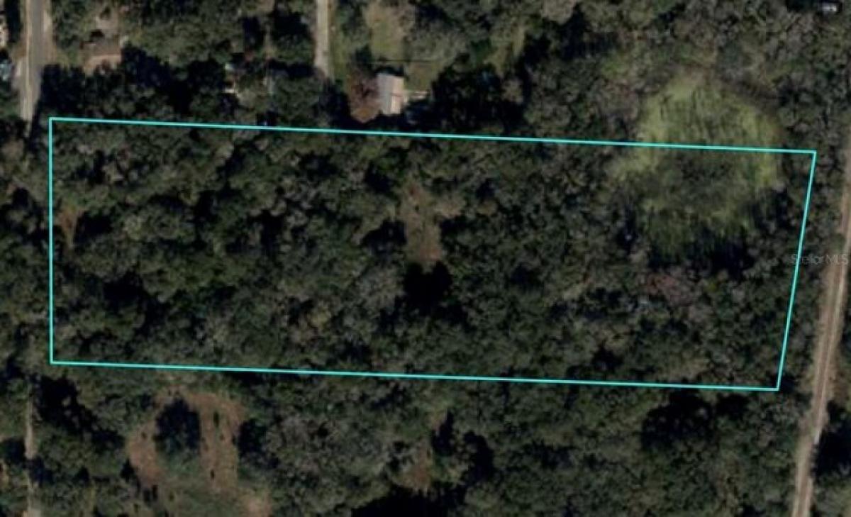 Picture of Residential Land For Sale in Williston, Florida, United States