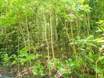 Residential Land For Sale in Bryson City, North Carolina