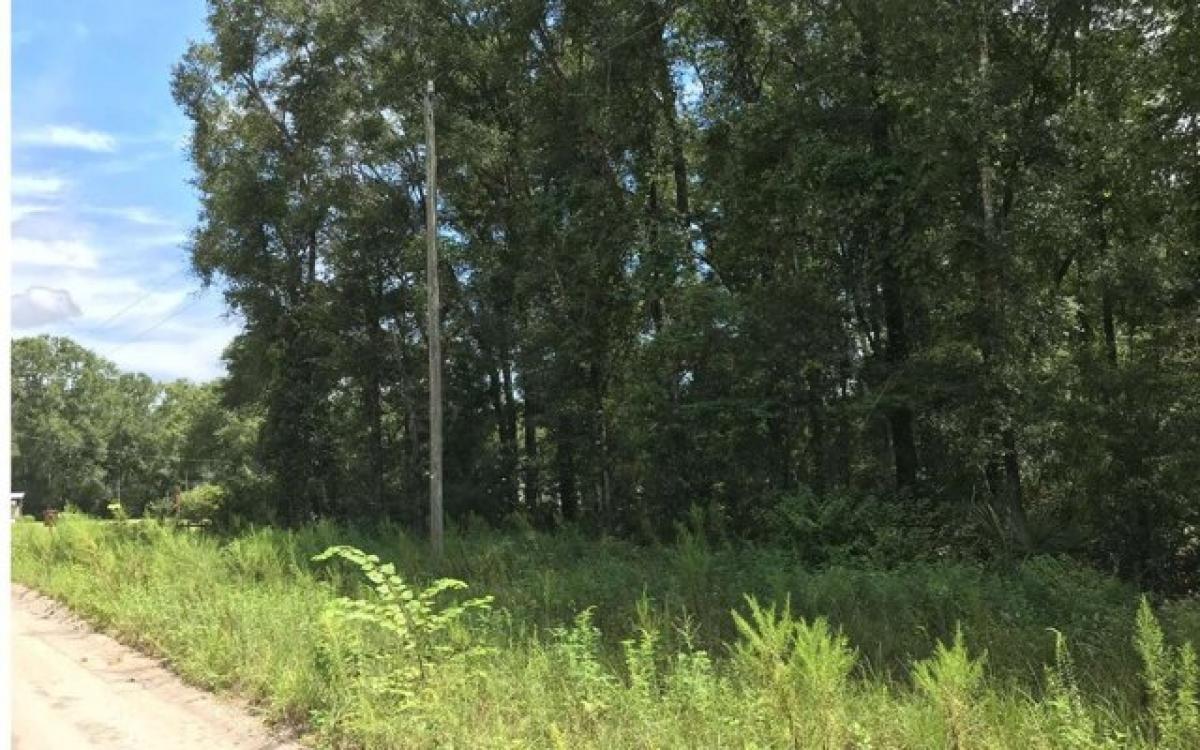 Picture of Residential Land For Sale in Branford, Florida, United States