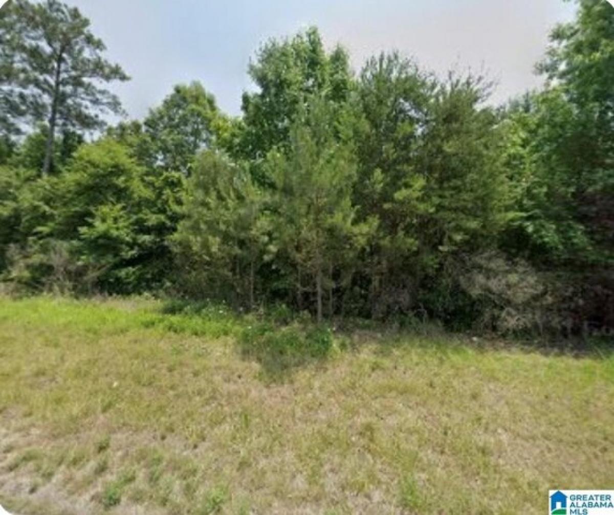 Picture of Residential Land For Sale in Adger, Alabama, United States