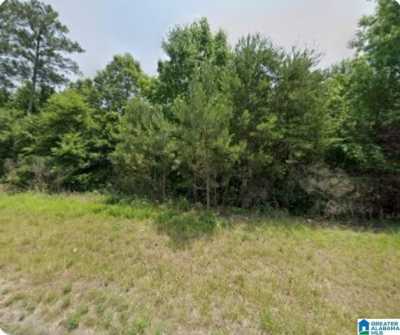 Residential Land For Sale in Adger, Alabama