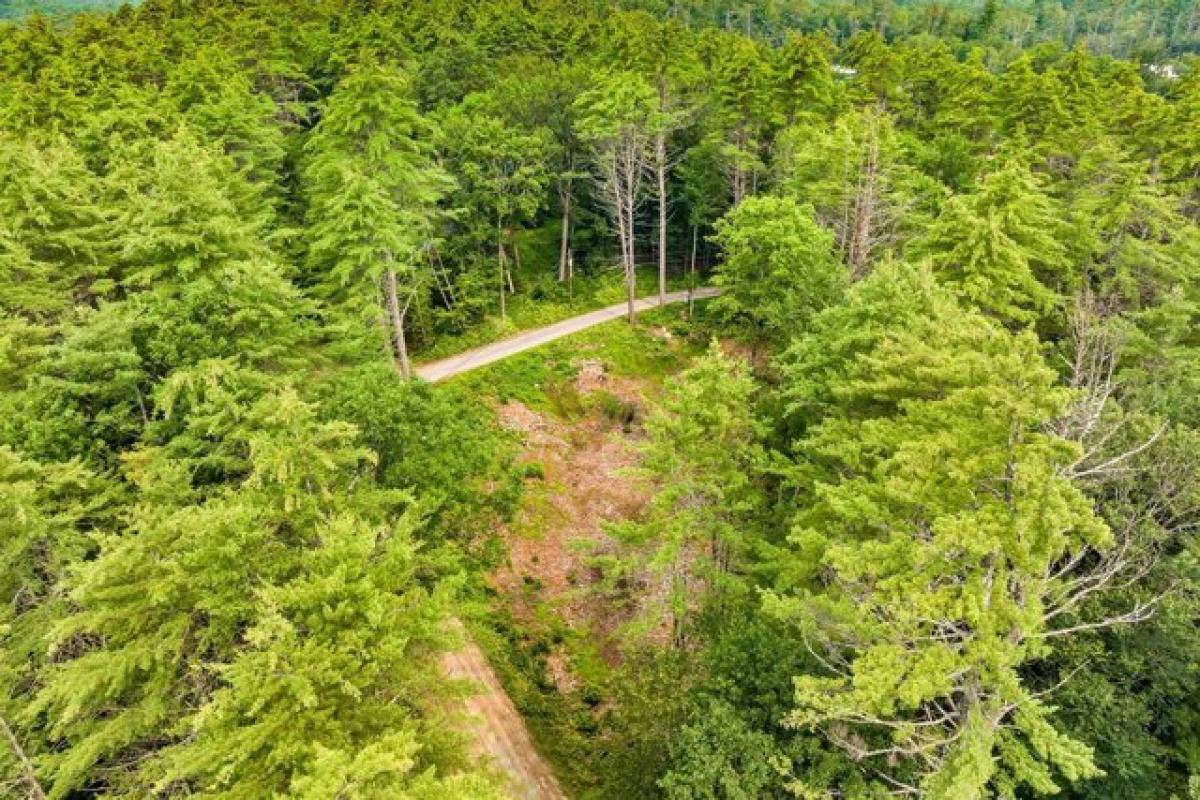 Picture of Residential Land For Sale in New Hampton, New Hampshire, United States