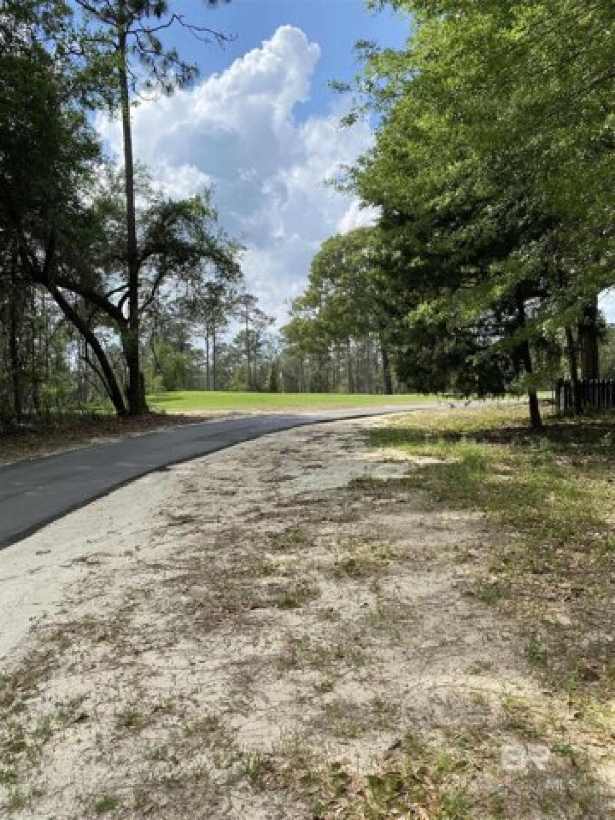 Picture of Residential Land For Sale in Loxley, Alabama, United States