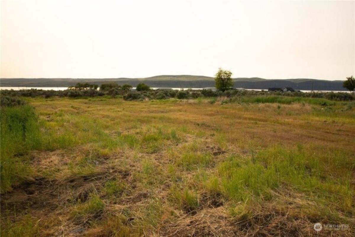 Picture of Residential Land For Sale in Coulee City, Washington, United States