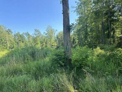 Residential Land For Sale in Belleville, Michigan