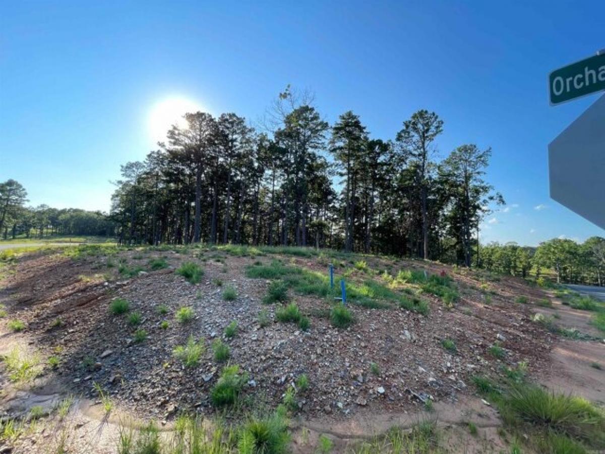 Picture of Residential Land For Sale in Conway, Arkansas, United States