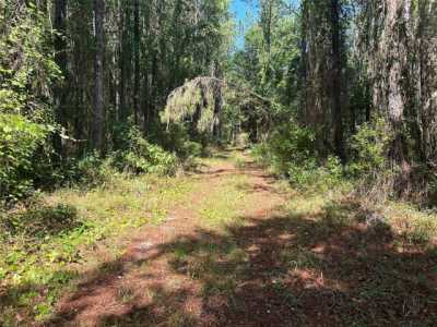 Residential Land For Sale in Hawthorne, Florida