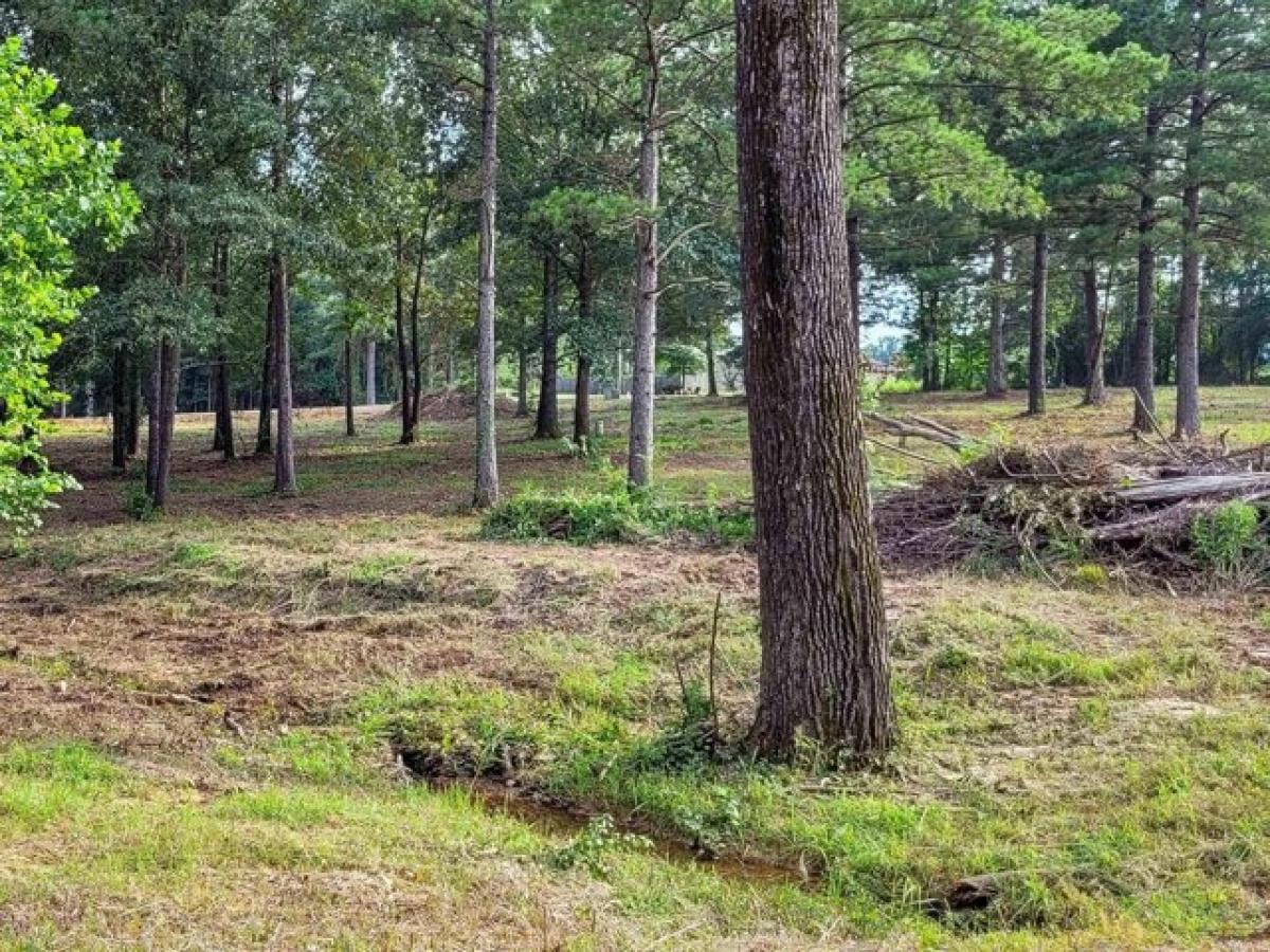 Picture of Residential Land For Sale in De Queen, Arkansas, United States