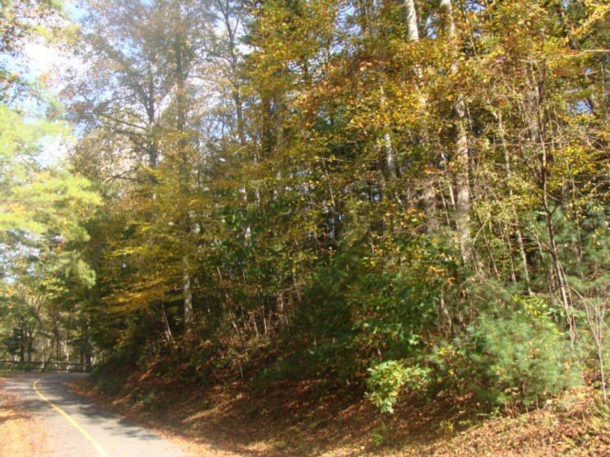 Picture of Residential Land For Rent in Fancy Gap, Virginia, United States