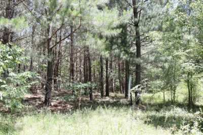 Residential Land For Sale in Swansea, South Carolina