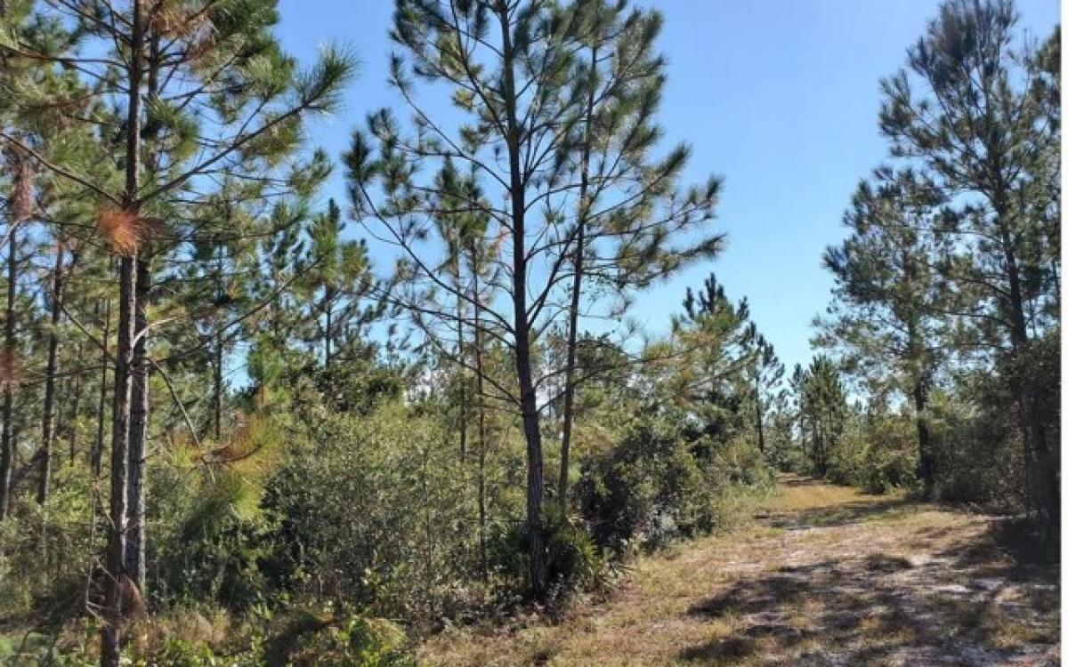 Picture of Residential Land For Sale in Lee, Florida, United States