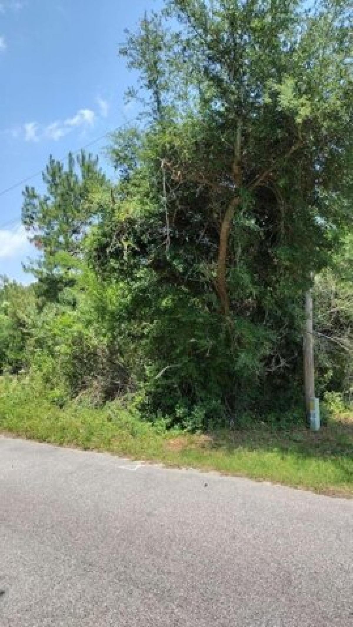 Picture of Residential Land For Sale in Manning, South Carolina, United States