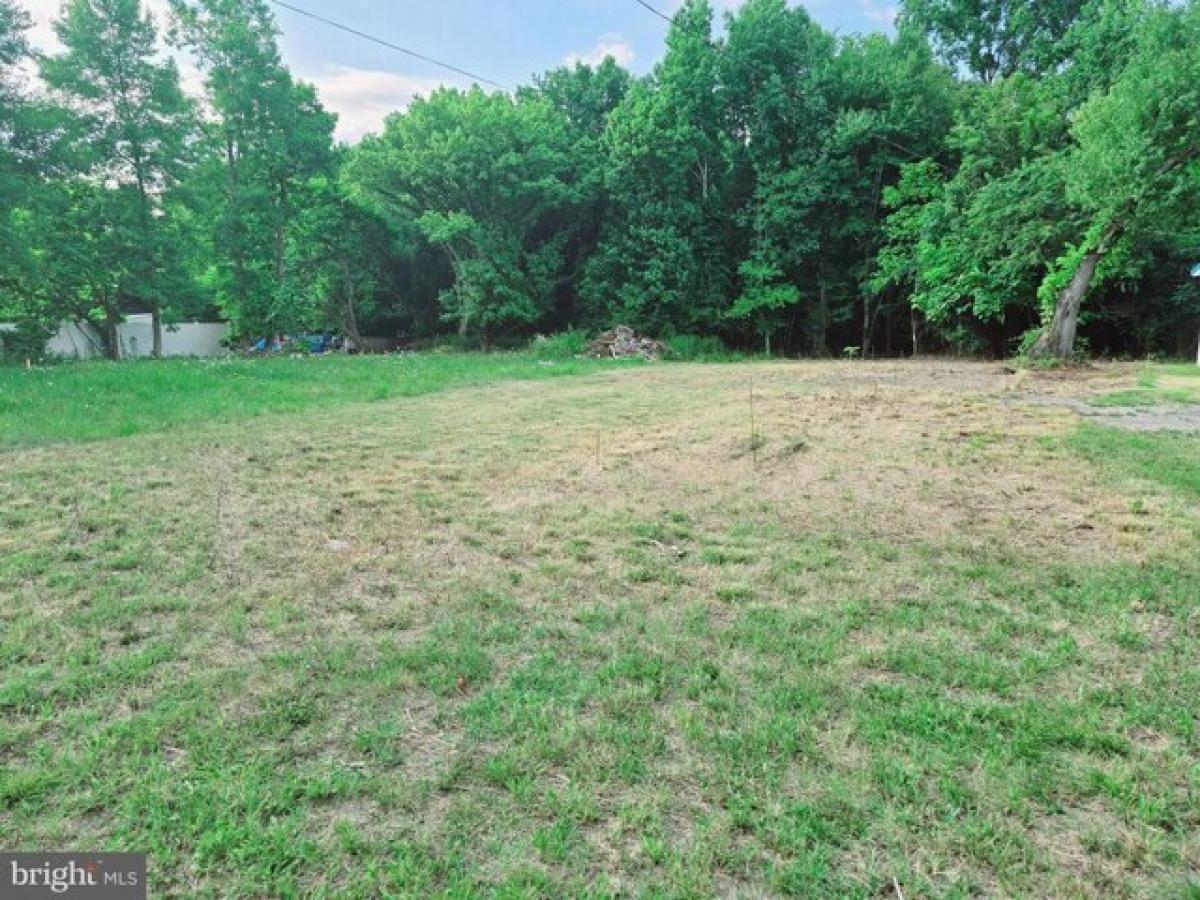 Picture of Residential Land For Sale in Seaford, Delaware, United States