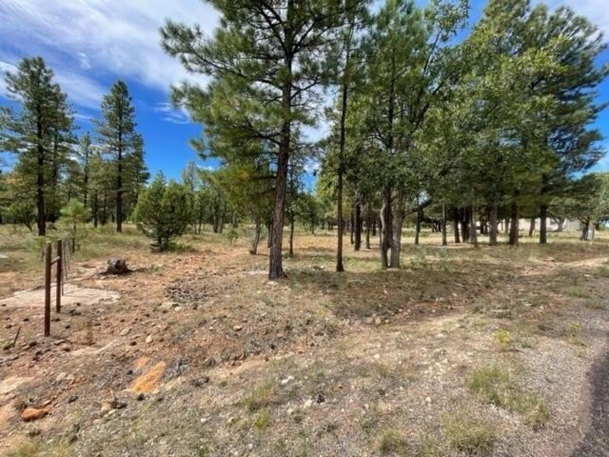 Picture of Residential Land For Sale in Happy Jack, Arizona, United States