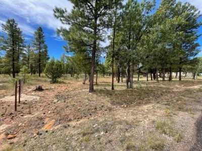 Residential Land For Sale in Happy Jack, Arizona