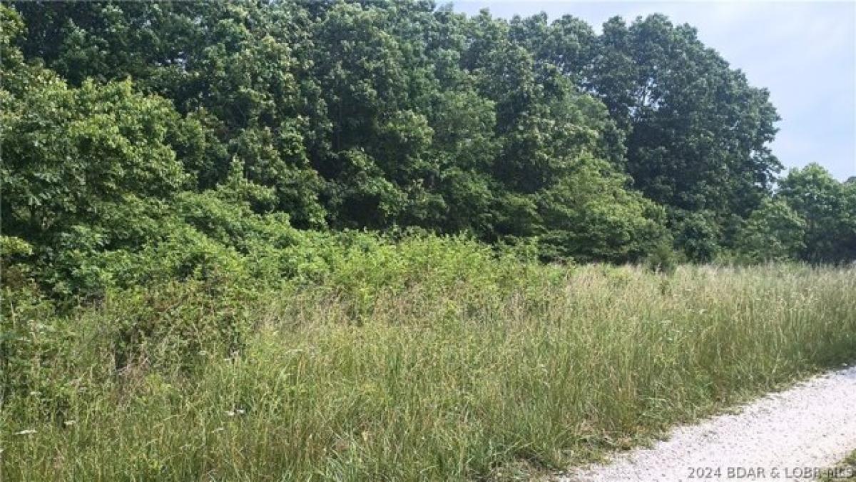 Picture of Residential Land For Sale in Roach, Missouri, United States