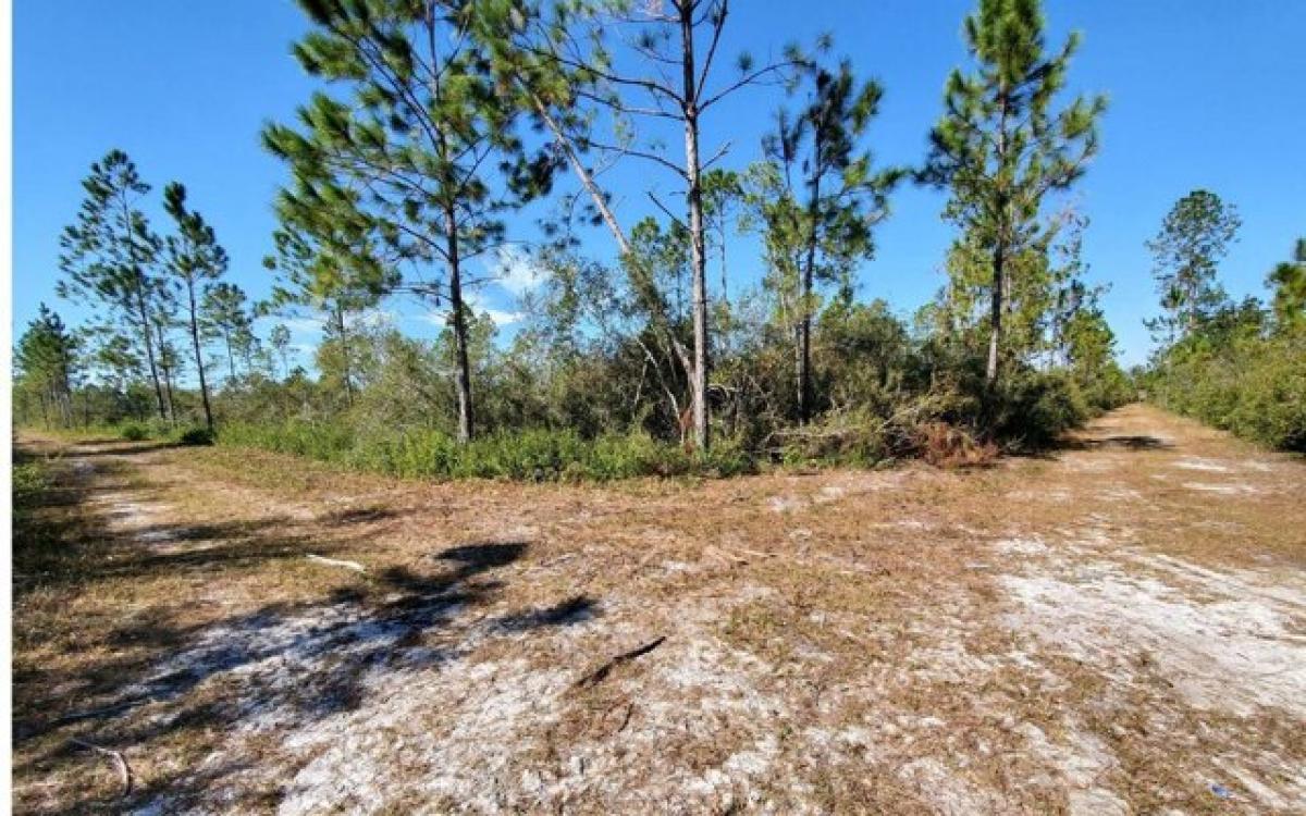 Picture of Residential Land For Sale in Lee, Florida, United States