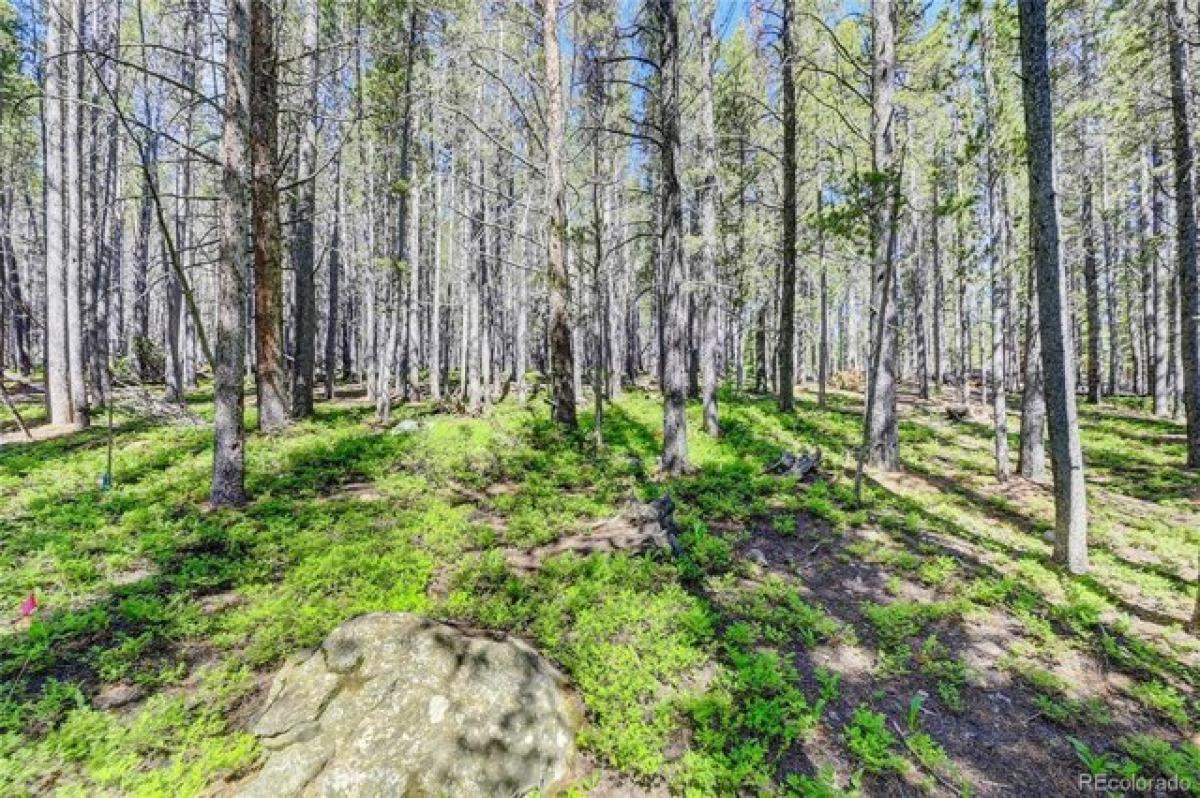 Picture of Residential Land For Sale in Idaho Springs, Colorado, United States