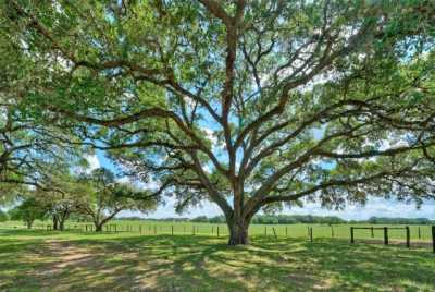 Residential Land For Sale in Cat Spring, Texas