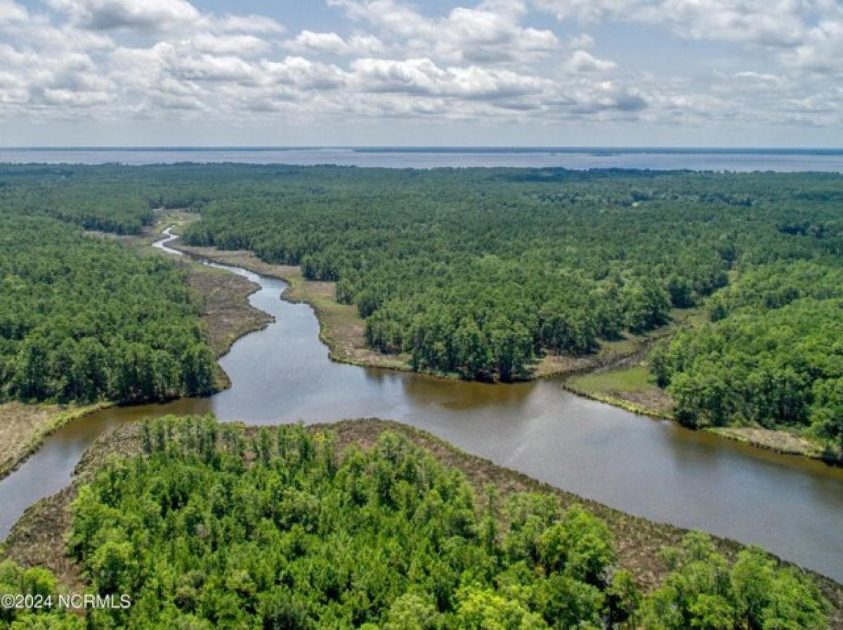 Picture of Residential Land For Sale in Belhaven, North Carolina, United States