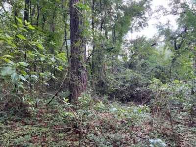 Residential Land For Sale in Florala, Alabama