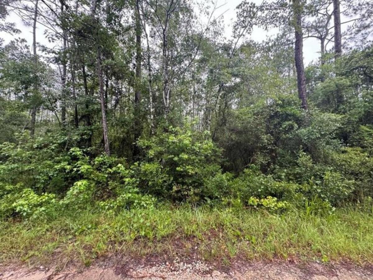 Picture of Residential Land For Sale in Sopchoppy, Florida, United States