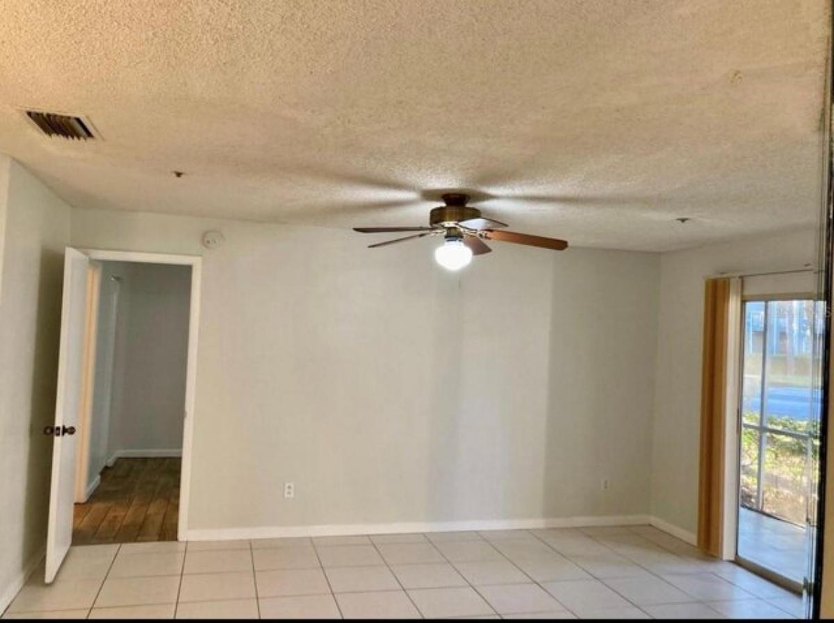 Picture of Home For Rent in Temple Terrace, Florida, United States