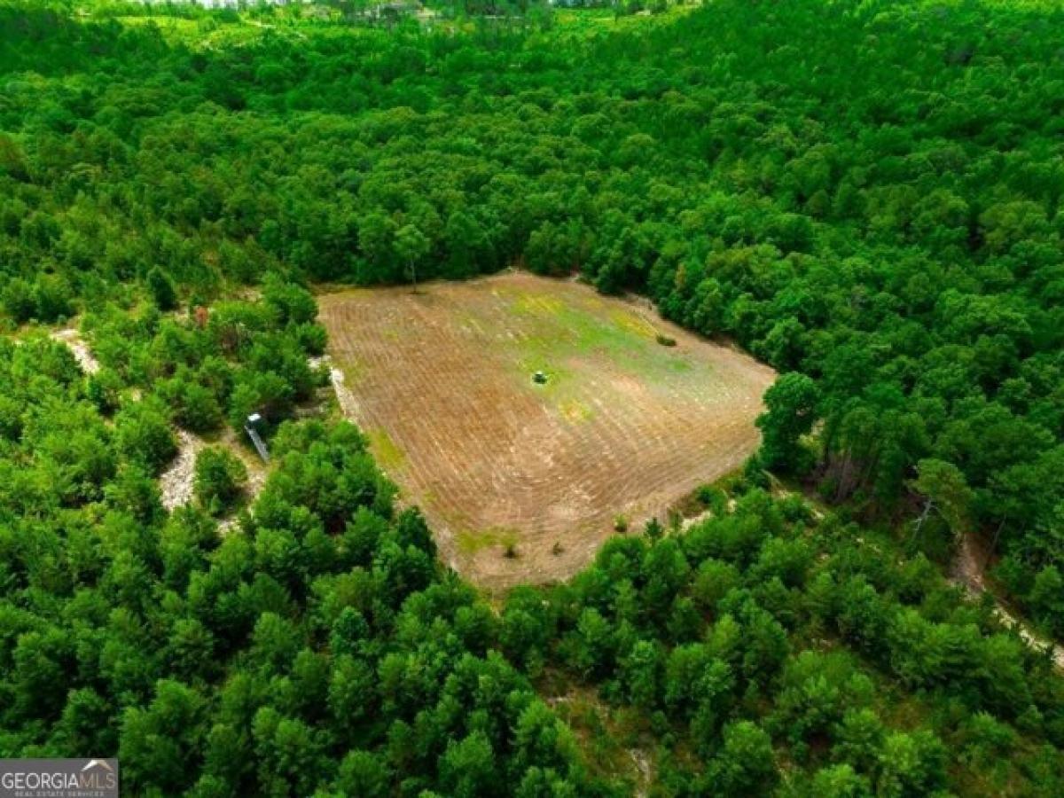 Picture of Residential Land For Sale in Butler, Georgia, United States