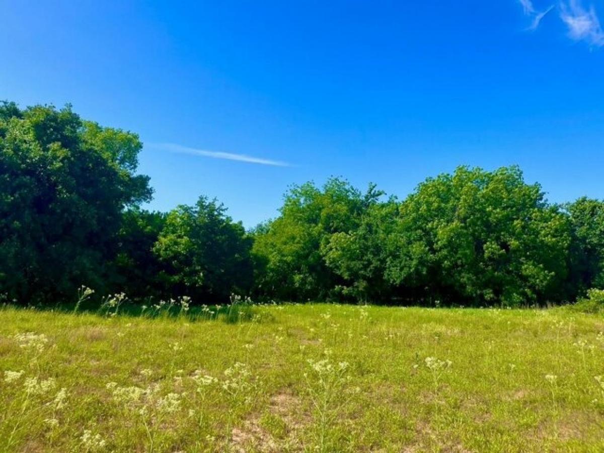 Picture of Residential Land For Sale in Poolville, Texas, United States