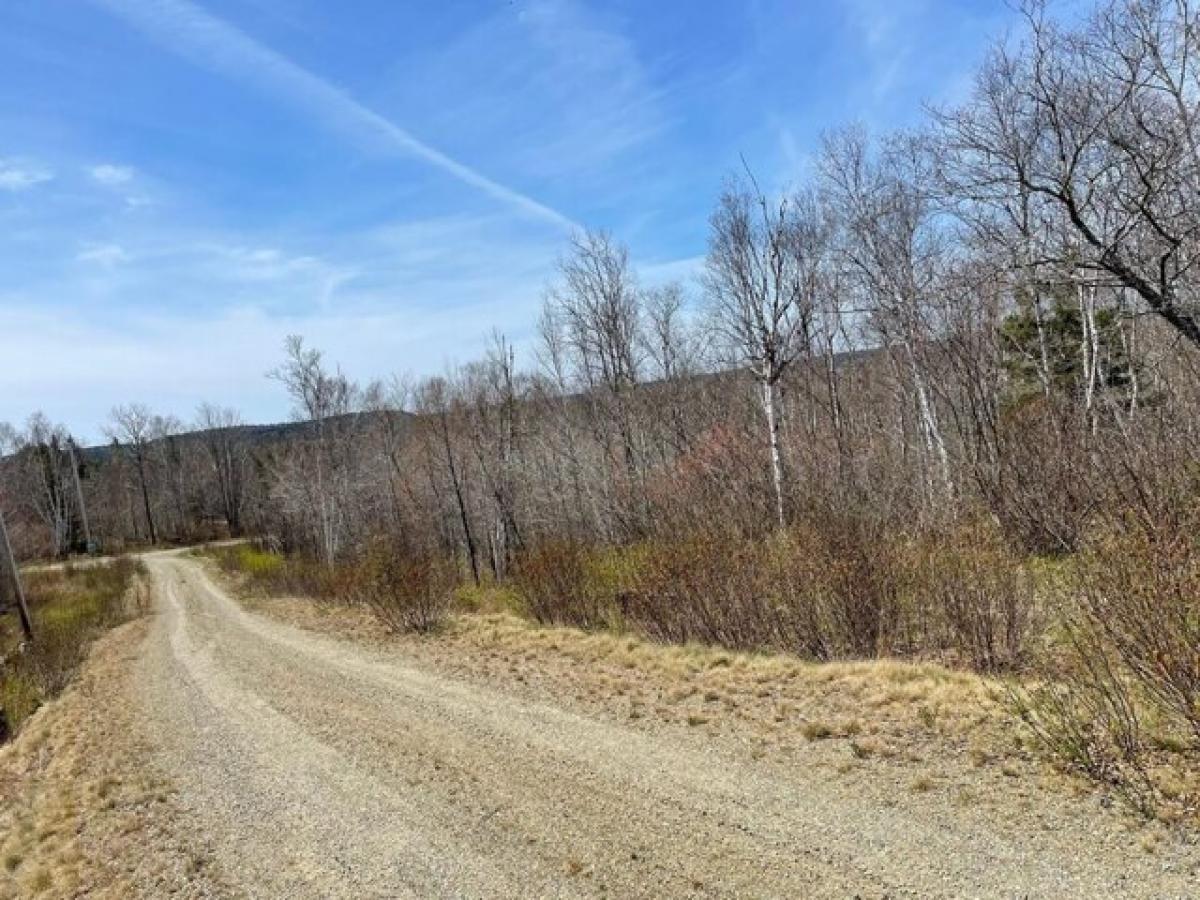 Picture of Residential Land For Sale in Addison, Maine, United States