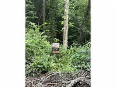 Residential Land For Rent in Smithville, Tennessee