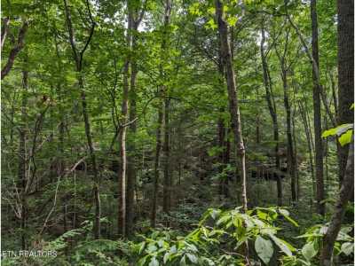 Residential Land For Sale in Crawford, Tennessee