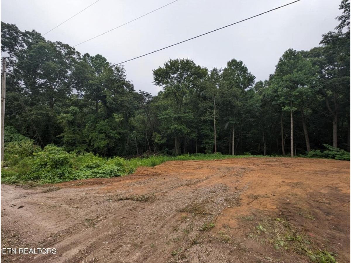 Picture of Residential Land For Sale in Jamestown, Tennessee, United States