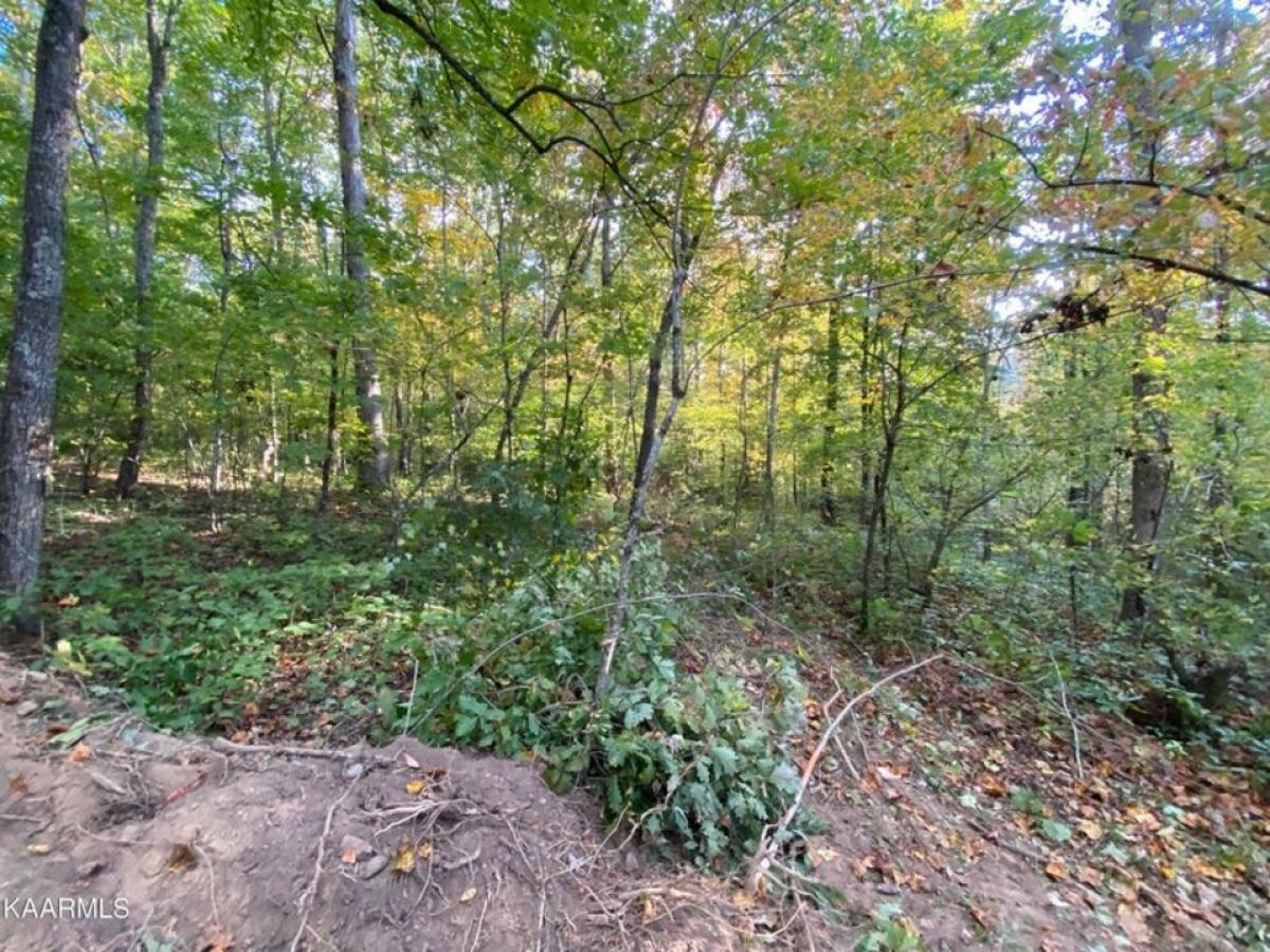 Picture of Residential Land For Sale in Crossville, Tennessee, United States