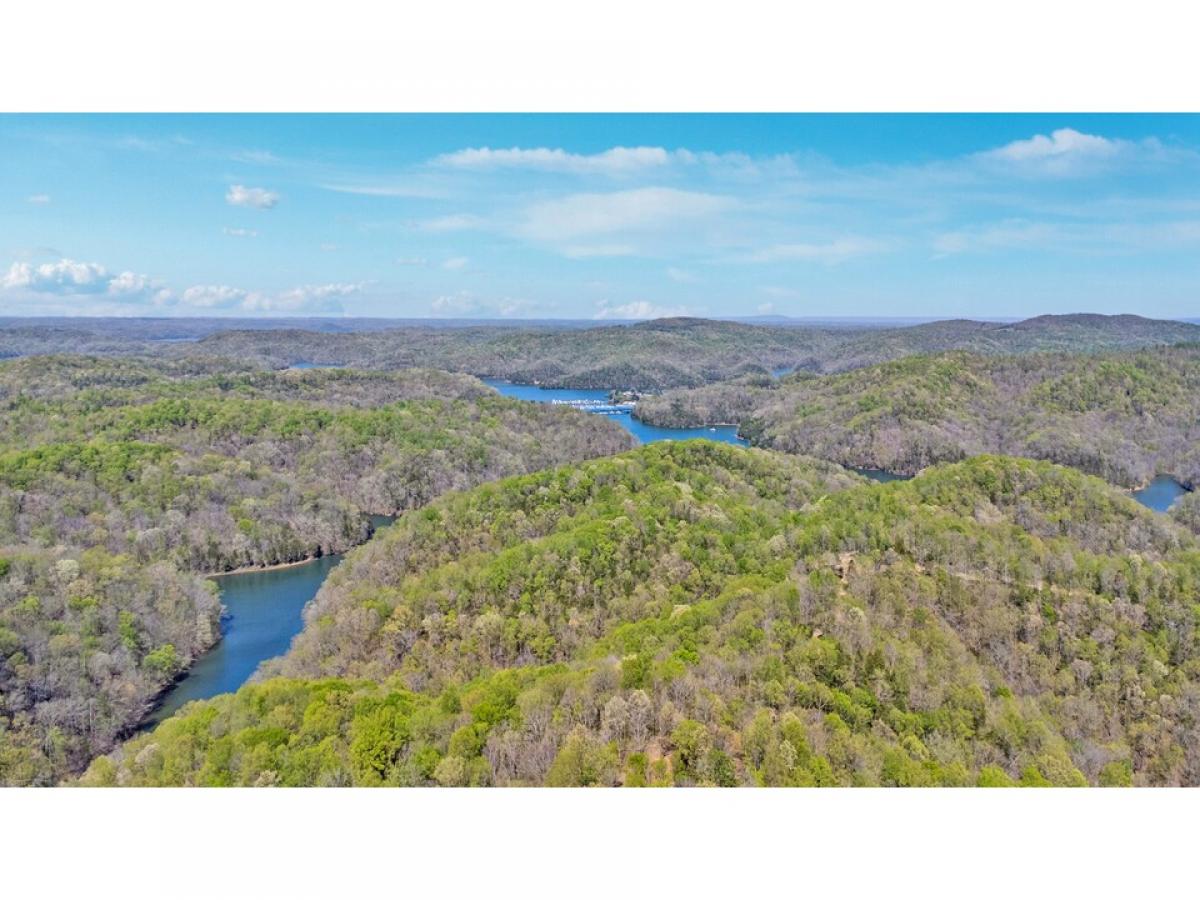 Picture of Residential Land For Sale in Allons, Tennessee, United States