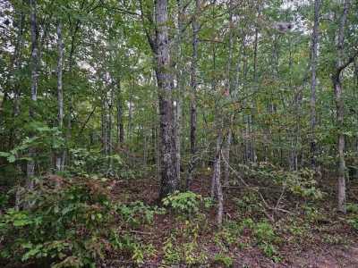 Residential Land For Sale in Wilder, Tennessee