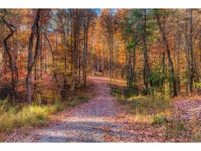 Residential Land For Sale in Allardt, Tennessee