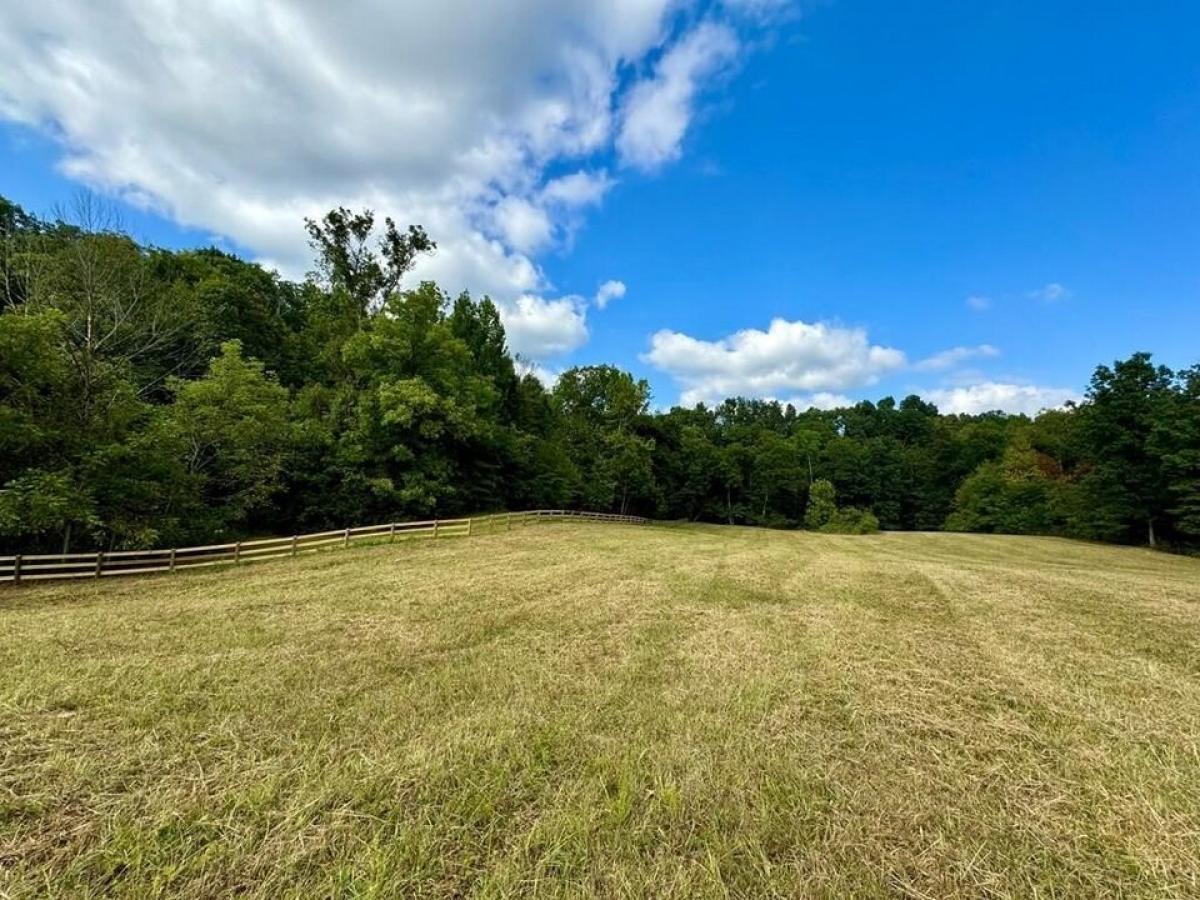 Picture of Residential Land For Sale in Rickman, Tennessee, United States